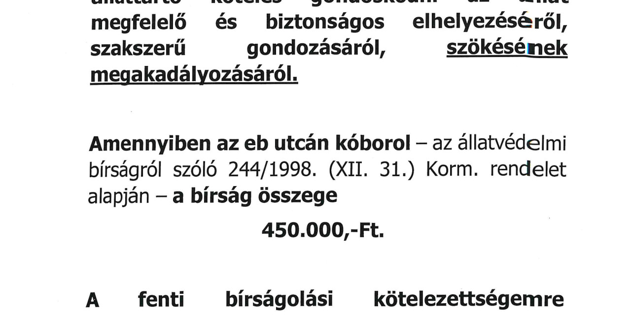 Hirdetmény kóbor ebekről